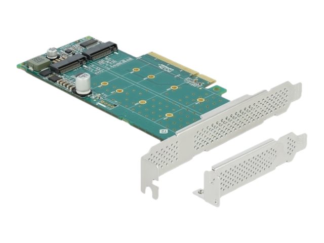 Delock PCI Express x8 Karte zu 2 x intern NVMe M2 Key M Bifurcation