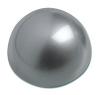 MAUL Magnete silber, Kunststoff Ã 3,0 x 1,9 cm, 10 St.