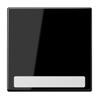 Jung Wippe LS990NASW mit Schriftfeld