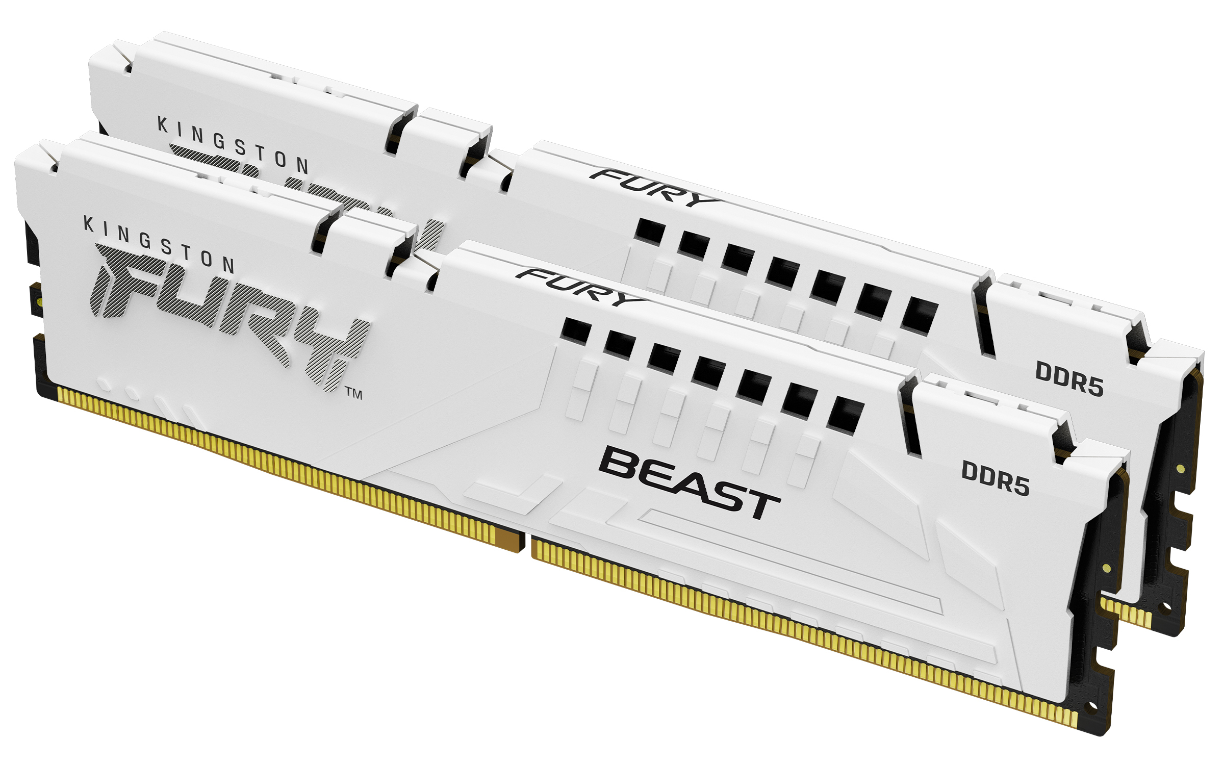 Kingston FURY Beast 32GB DDR5 CL36