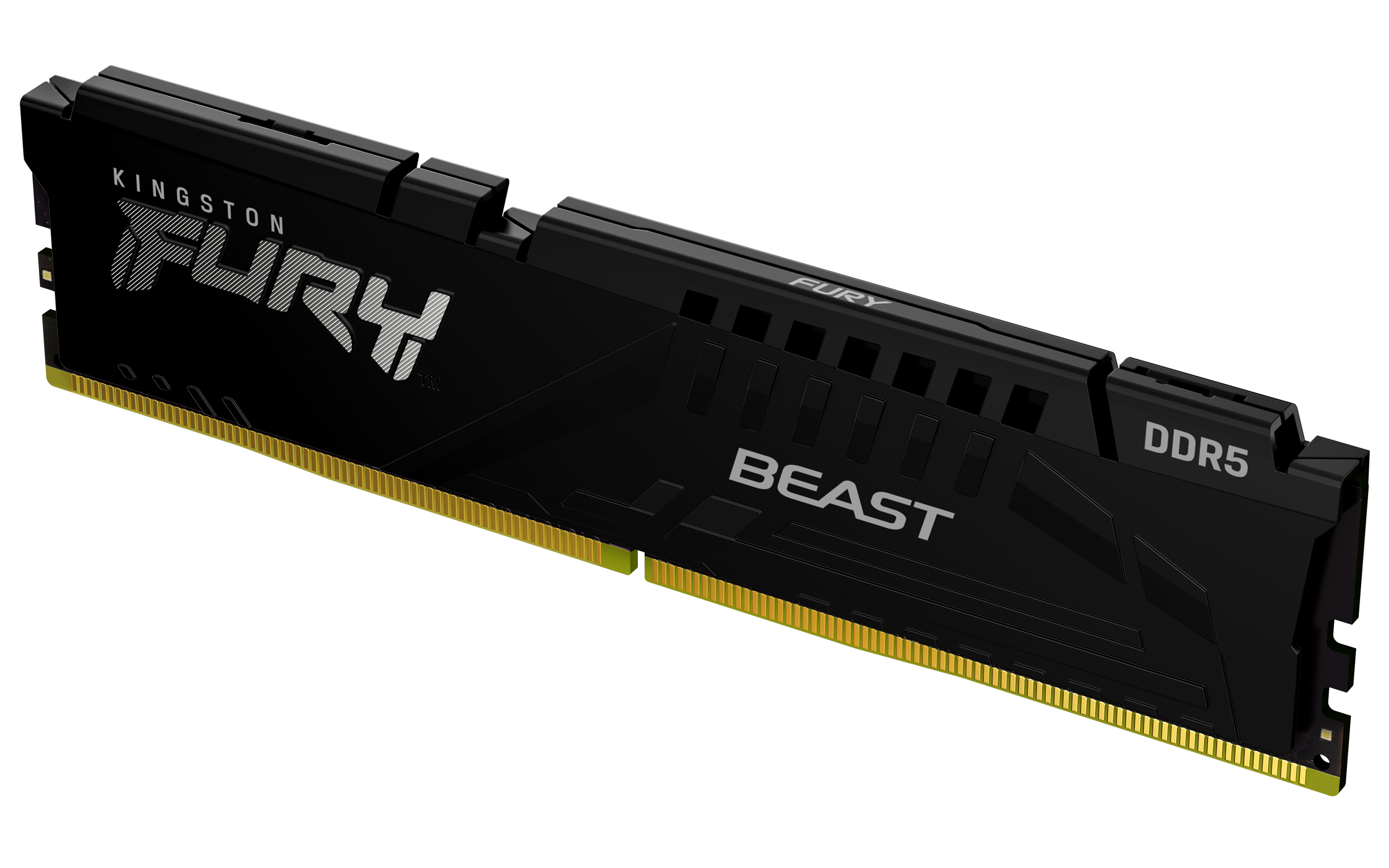 Kingston FURY Beast Modul DDR5 16 GB CL36