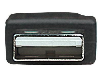 MANHATTAN USB 2.0 B Anschlusskabel 0,5m Typ A Stecker - Typ B Stecker 480 Mbps schwarz MANHATTAN USB 2.0 B Anschlusskabel 0,5m Typ A Stecker - Typ B Stecker 480 Mbps schwarz