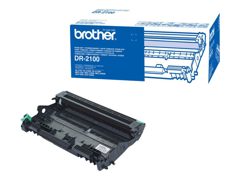 DR2100 BROTHER HL OPC black 12.000Seiten