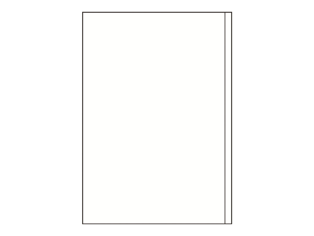 100 AVERY Zweckform Etiketten 3418 weiÃ 200,0 x 297,0 mm