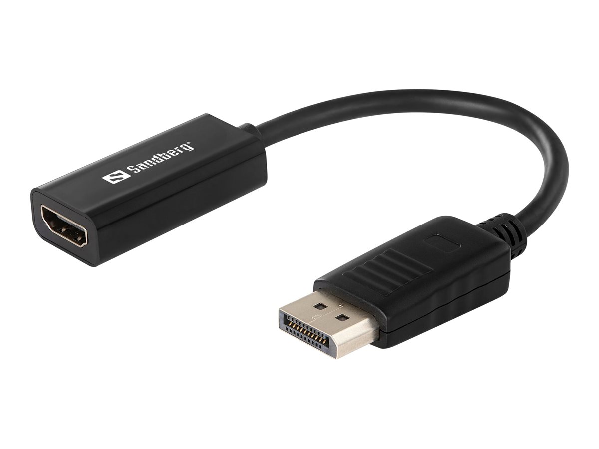 SANDBERG Adapter DisplayPort zu HDMI konvertiert DP - DisplayPort Ausgang zu HDMI Video und Audio