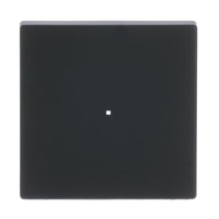 Busch-Jaeger Wippe 6230-10-885 1fach schwarz matt Busch-Jaeger Wippe 6230-10-885 1fach schwarz matt