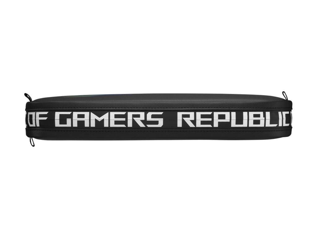 ASUS ROG ALLY TRAVEL CASE (P)