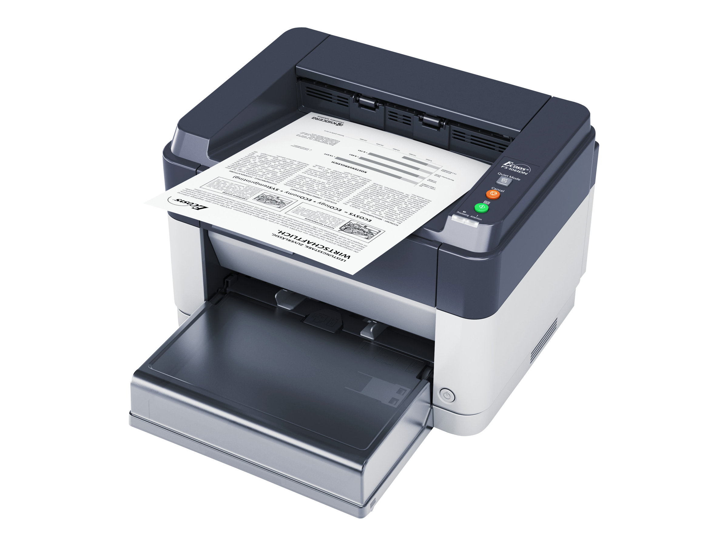 1102M33NL2 KYOCERA Ecosys FS1061DN