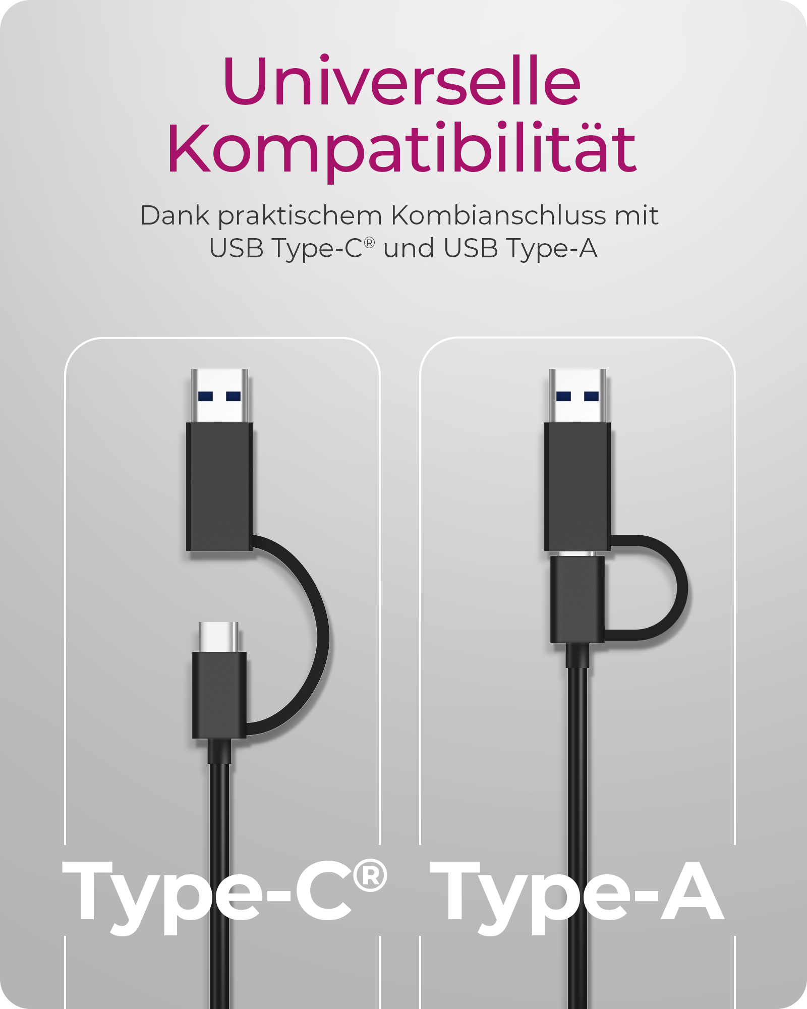 Adapter IcyBox USB32 Gen1 TypeA, TypeC 25GB Ethernet LAN retail