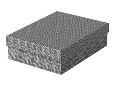 3 Esselte Home Aufbewahrungsboxen 8,0 l grau 26,5 x 36,0 x 10,0 cm 3 Esselte Home Aufbewahrungsboxen 8,0 l grau 26,5 x 36,0 x 10,0 cm