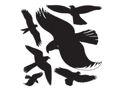 6 AVERY Zweckform Hinweisaufkleber Warnvögel Vogel 7,6 x 12,0 cm 6 AVERY Zweckform Hinweisaufkleber Warnvögel Vogel 7,6 x 12,0 cm