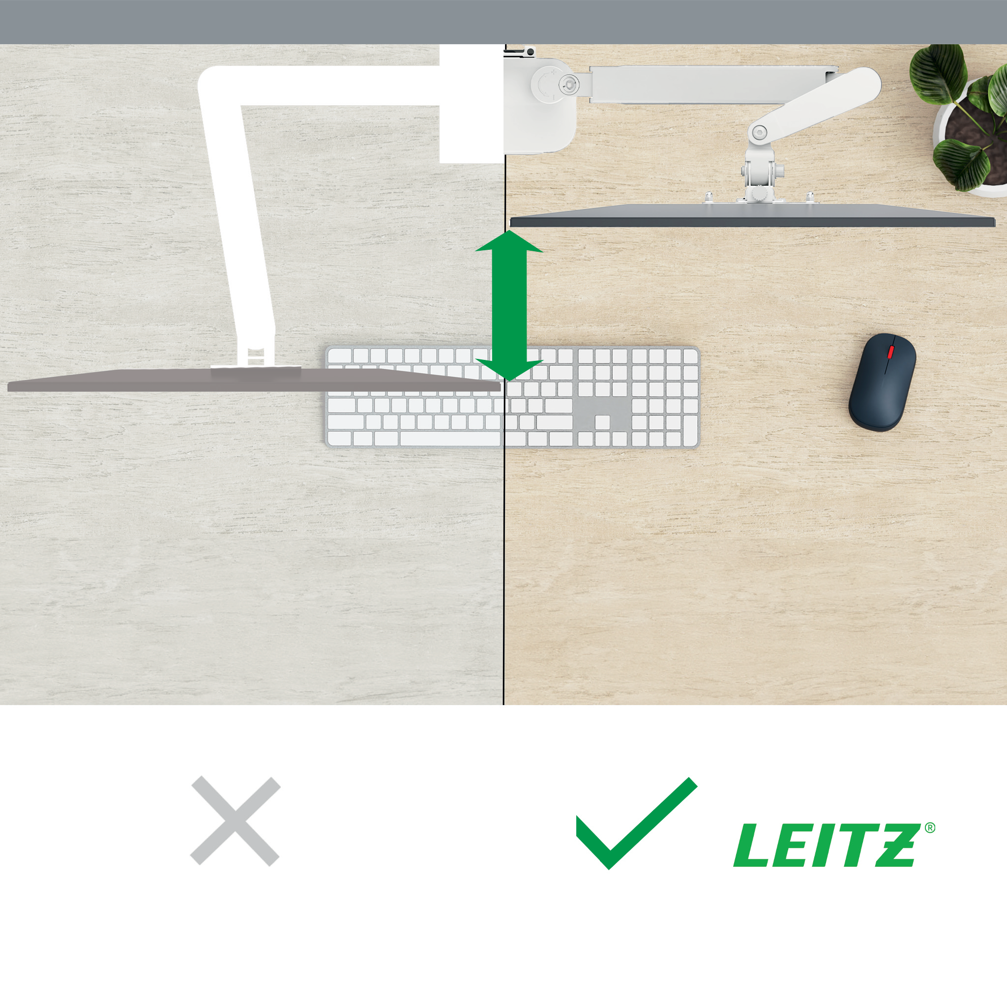 Esselte Leitz Monitor-Halterung Ergo 64890085 lichtgrau