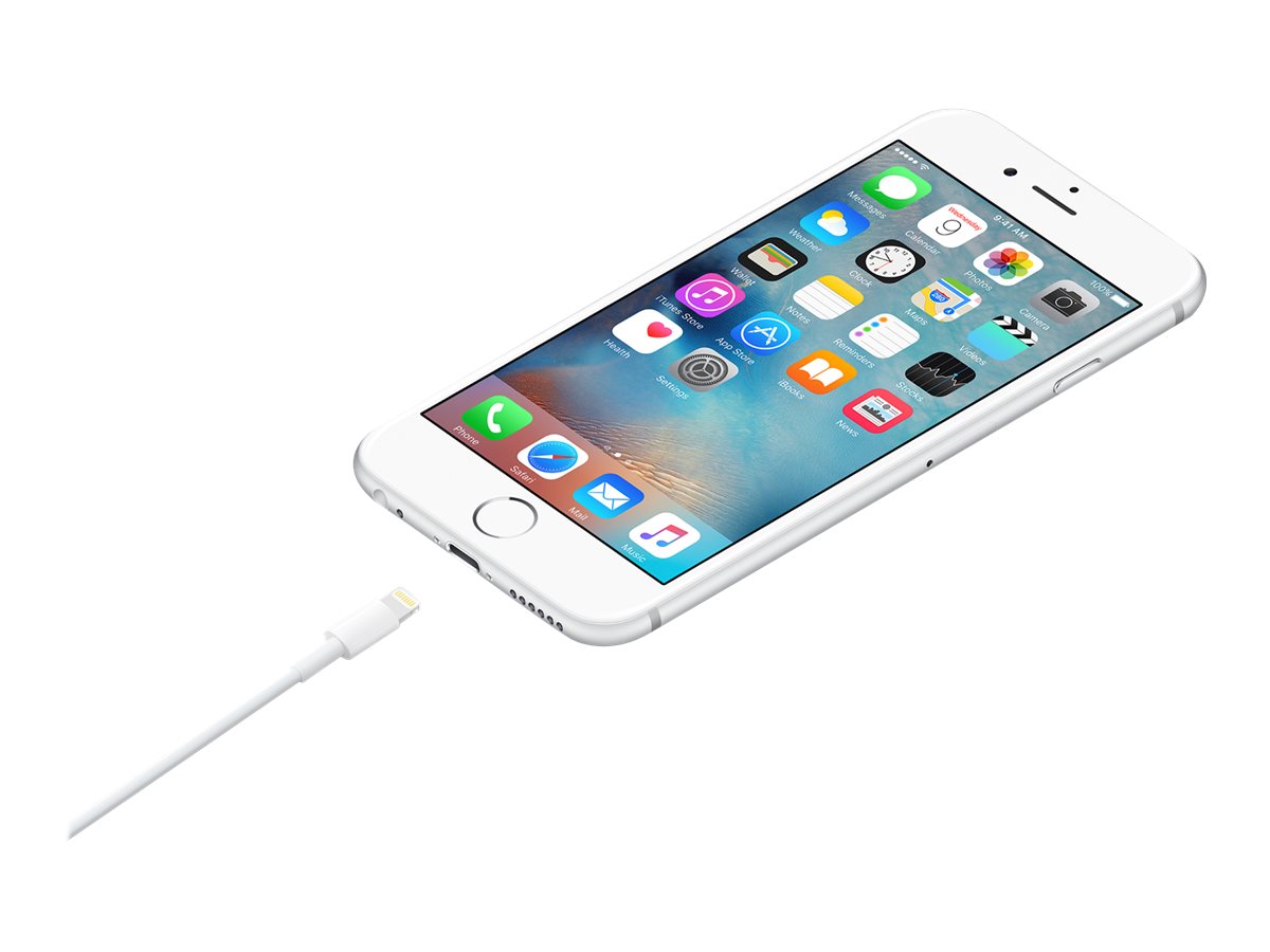Apple Lightning auf USB Kabel (1Â m)