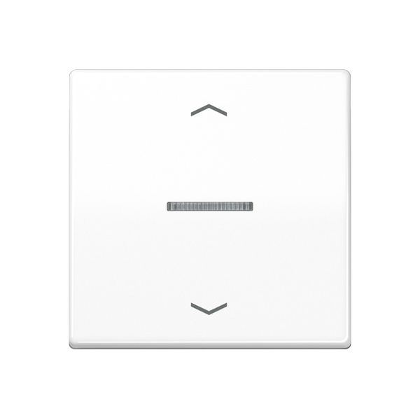 Jung Taster BTAS17101PWW HOME 1fmPfs