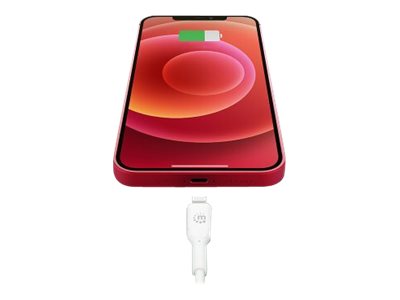 MANHATTAN USB-C auf Lightning Sync-/Ladekabel MFi-zertifizierten 8-pol. Lightning-Stecker 2 m für iPhone iPad iPod 480 Mbit/s weiss MANHATTAN USB-C auf Lightning Sync-/Ladekabel MFi-zertifizierten 8-pol. Lightning-Stecker 2 m für iPhone iPad iPod 480 Mbit/s weiss