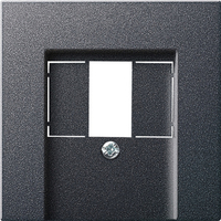 Gira Abdeckung 027628 TAE Stereo USB System 55 ant Gira Abdeckung 027628 TAE Stereo USB System 55 ant
