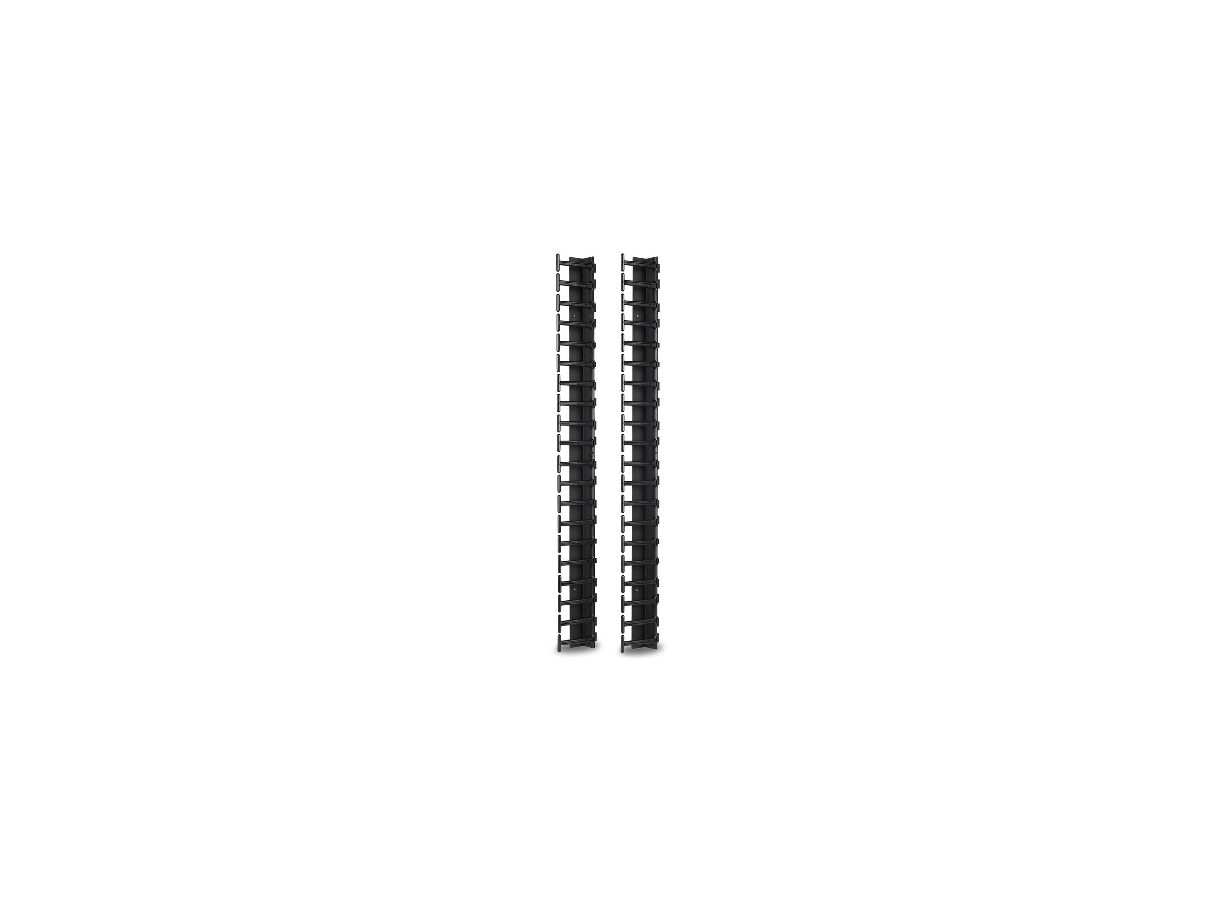 APC Vertical Cable Manager für NetShelter SX 600mm Wide 42U (Qty 2)
