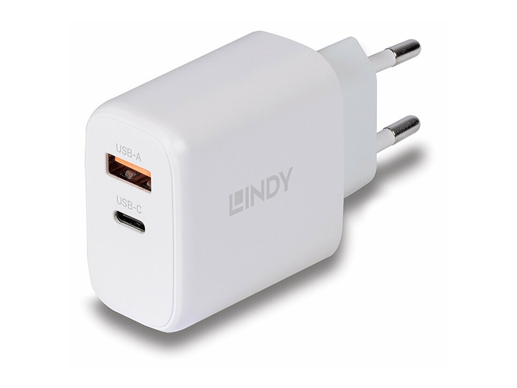 LINDY 65W USB Type C GaN Charger mit EU-Stecker