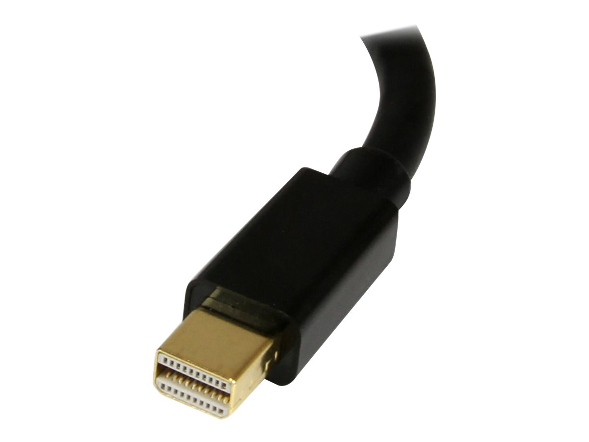 StarTech.com DisplayPort auf Mini DisplayPort Adapter - 1 x DP (20 pin) (Buchse) 1 x Mini DP (20 pin) (Stecker) - Länge 15,2cm - Schwarz - DisplayPort-Kabel - 15.2 cm