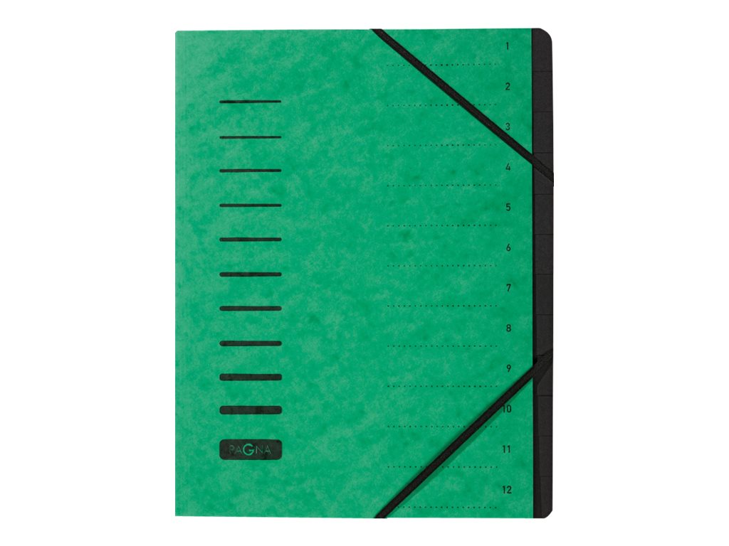 PAGNA Ordnungsmappe Ordnungsmappen 12 Faecher gruen PAGNA Ordnungsmappe Ordnungsmappen 12 Faecher gruen