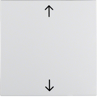 Berker Wippe 16201919 Symbol Pfeil polarweiss matt Berker Wippe 16201919 Symbol Pfeil polarweiss matt