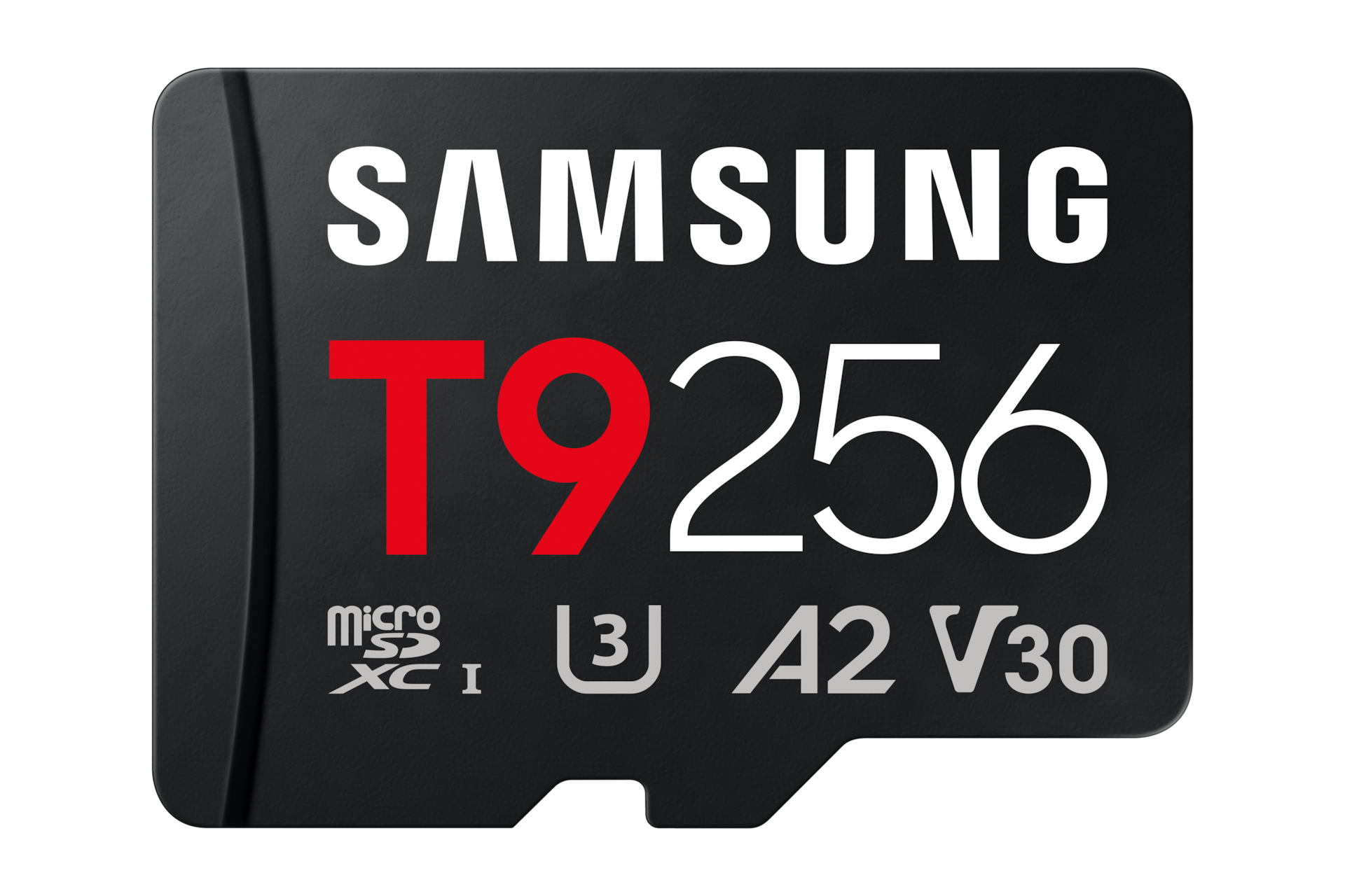 Samsung Micro SD T9 256GB Class10