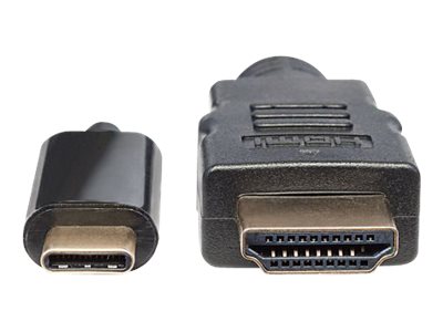 MANHATTAN USB Typ C auf HDMI-Adapterkabel 2m Konvertiert das Alternate-Mode-Signal in ein HDMI 4K-Ausgangssignal schwarz