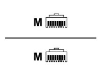 TGT Patchkabel S/FTP MP8 FS500 LSZH grau 1: 1 Cat.6A-ISO 0,5m TGT Patchkabel S/FTP MP8 FS500 LSZH grau 1: 1 Cat.6A-ISO 0,5m