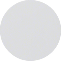 Berker Wippe 16202089 polarweiss glänzend Berker Wippe 16202089 polarweiss glänzend
