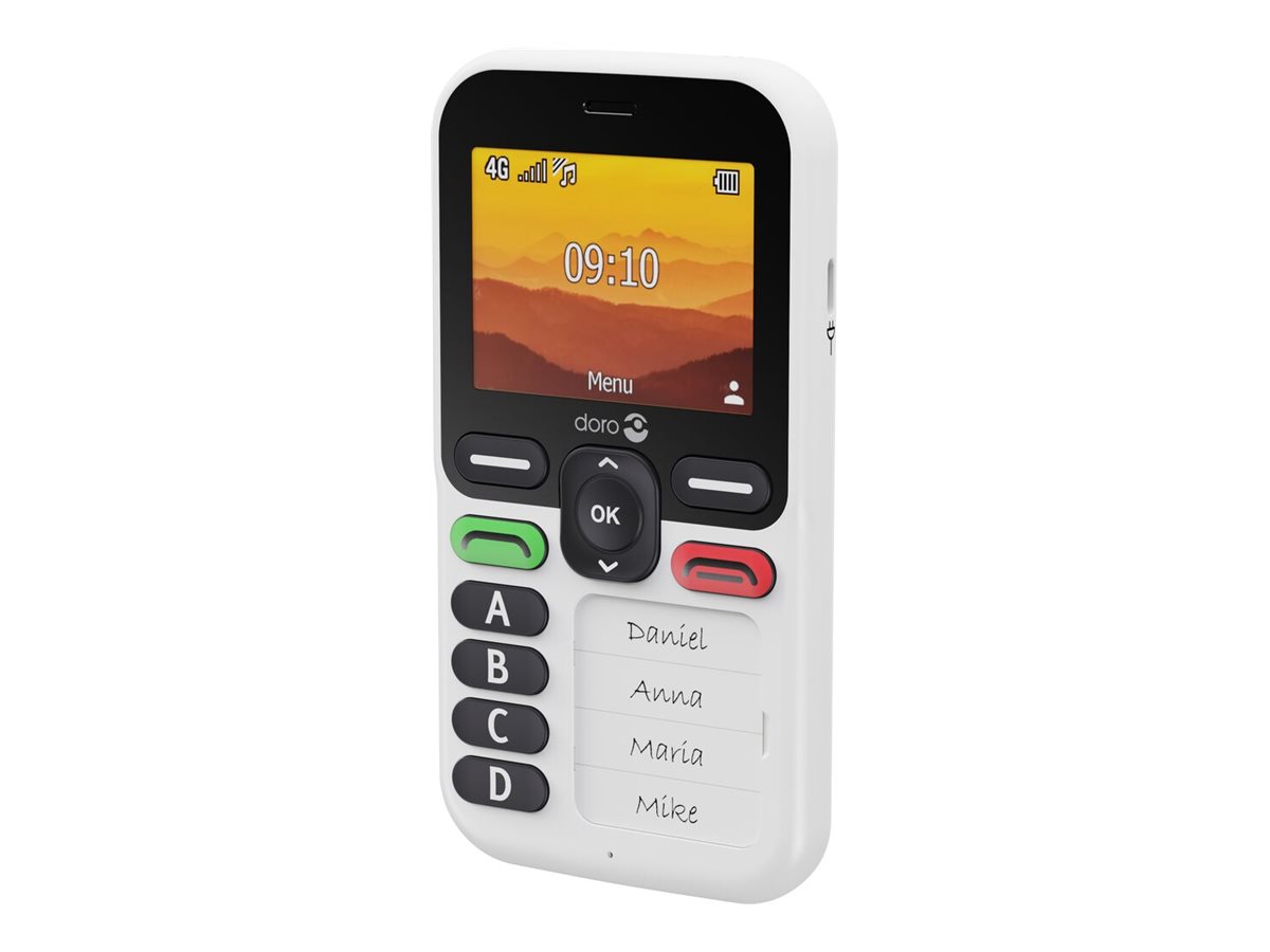 Doro Leva X10 4G, Grosstastenhandy