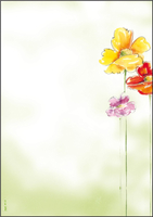 SIGEL Motivpapier Spring Flowers Motiv DIN A4 90 g/qm 50 Blatt SIGEL Motivpapier Spring Flowers Motiv DIN A4 90 g/qm 50 Blatt