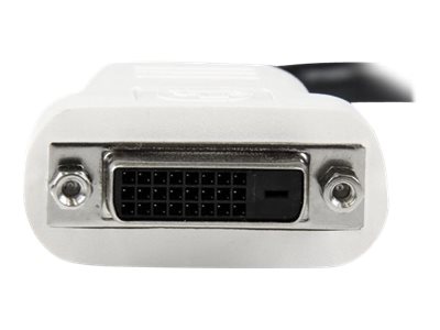 STARTECH.COM DisplayPort Adapter auf DVI - DP (Stecker) zu DVI-I (Buchse) Konverter - 1920x1200