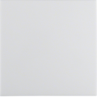 Berker Wippe 16208989 polarweiss glänzend Berker Wippe 16208989 polarweiss glänzend