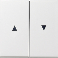 Gira Serienwippe 0294112 + Pfeilsymbol Fläche reinweiss