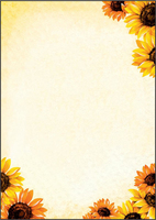 SIGEL Motivpapier Field of Sun Motiv DIN A4 90 g/qm 50 Blatt SIGEL Motivpapier Field of Sun Motiv DIN A4 90 g/qm 50 Blatt