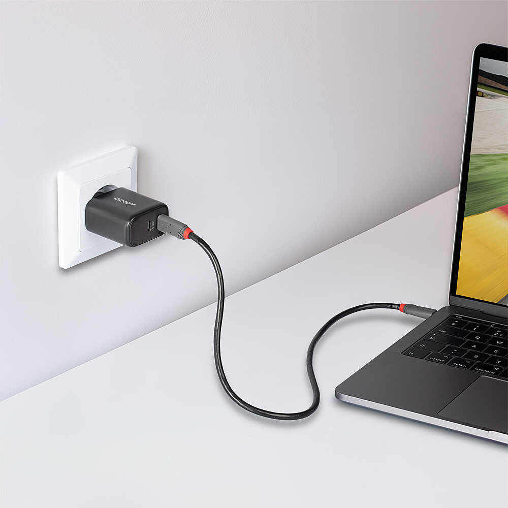 LINDY 65W USB 2 x Type C GaN Charger mit EUStecker