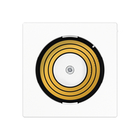 Jung Abdeckung PLADMSWW P&L Serie A mit DMS Jung Abdeckung PLADMSWW P&L Serie A mit DMS