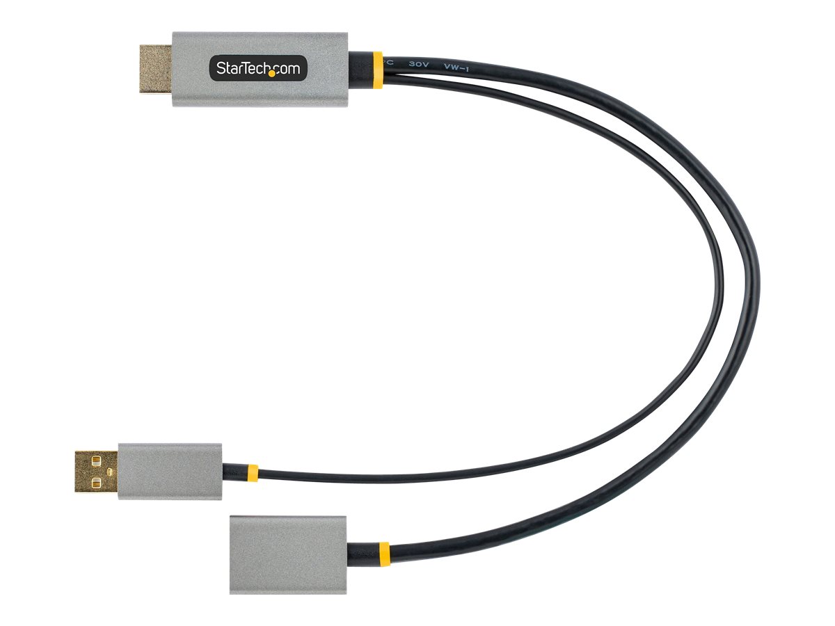 STARTECH.COM 30cm HDMI auf DisplayPort Adapter/Kabel Aktiver 4K 60Hz HDMI 2.0 auf DP 1.2 Konverter HDR USB Busbetrieben HDMI zu DP