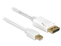 DP mini DisplayP DisplayP 2m