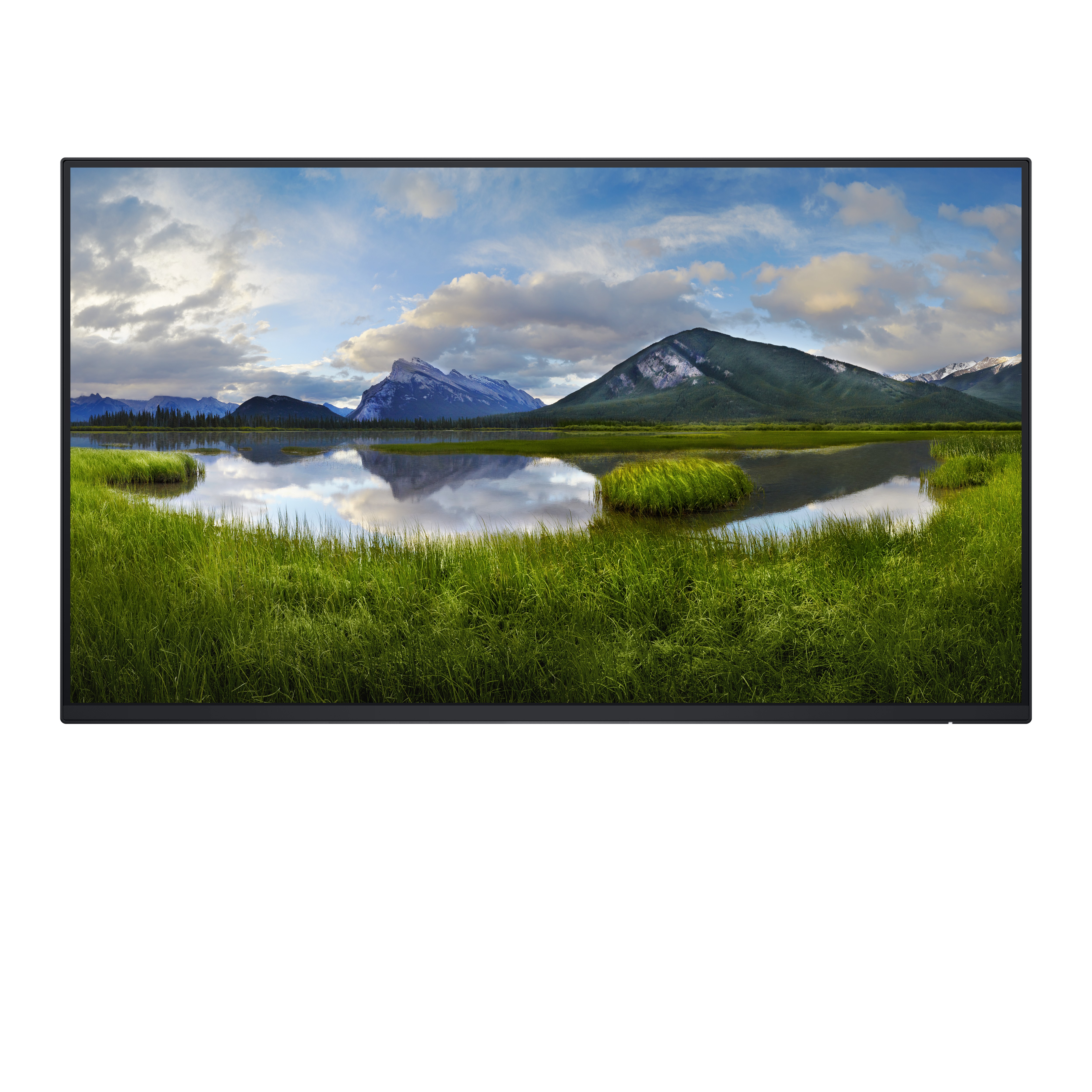 DELL 24 Monitor P2425H 60,45cm 23,8Zoll IPS 1920x1080 169 250cdm2 100Hz without stand HDMI DP VGA USB32