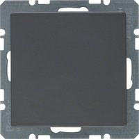 Berker Blindverschluss 10096086 anthrazit samt Berker Blindverschluss 10096086 anthrazit samt