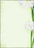 SIGEL Motivpapier Green Flower Motiv DIN A4 90 gqm 25 Blatt
