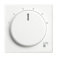 Busch-Jaeger Zentralscheibe 1794 R-884 Temperatur rund