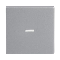 Busch-Jaeger Wippe 1789 N-83 transparent aluminiumsilber Busch-Jaeger Wippe 1789 N-83 transparent aluminiumsilber