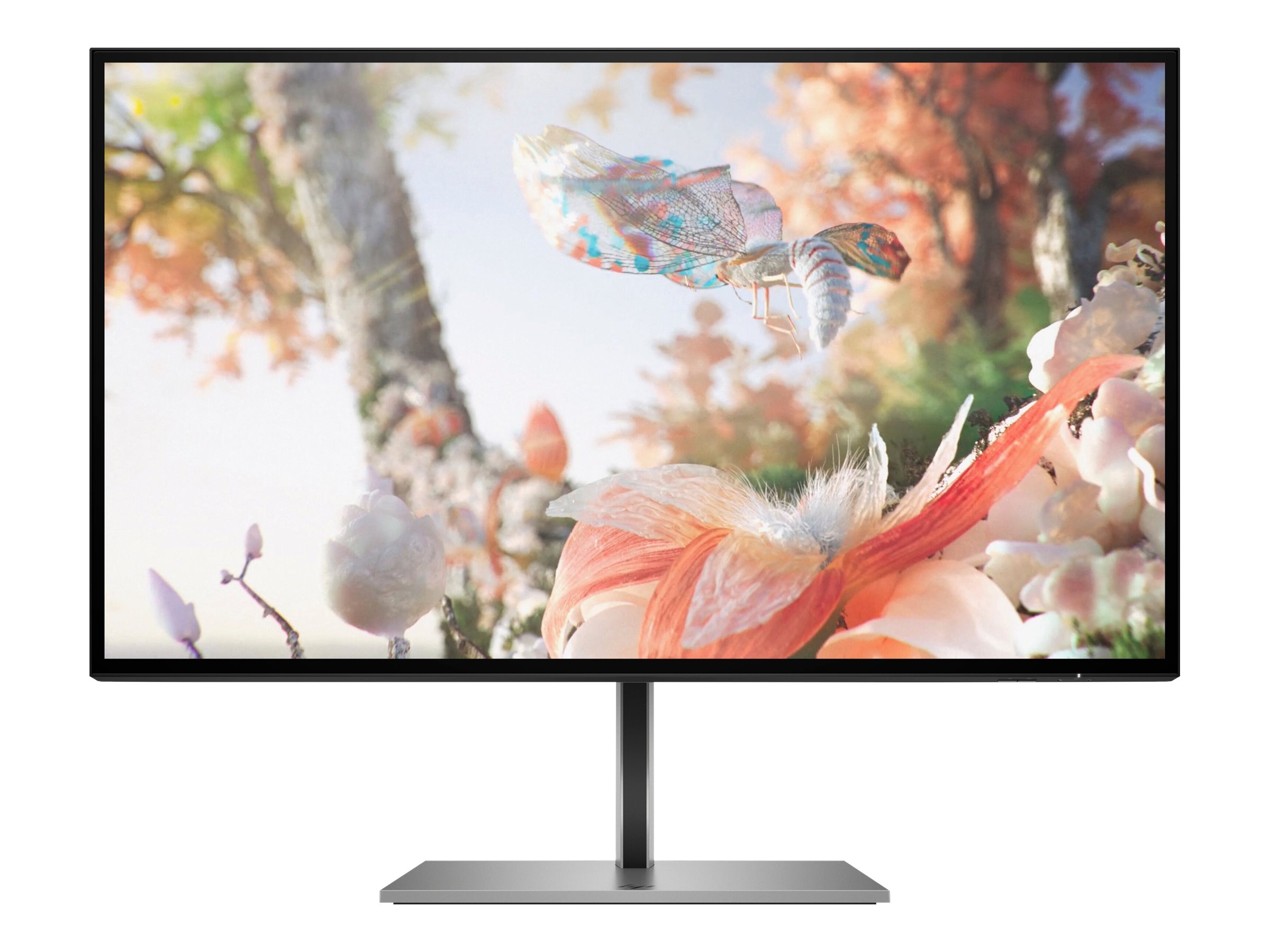 HP Z25xs G3 25 QHD LED Monitor schwarz
