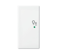 Busch-Jaeger Wippe 6234-21-914 2fach Dimmer alpinweiß Busch-Jaeger Wippe 6234-21-914 2fach Dimmer alpinweiß