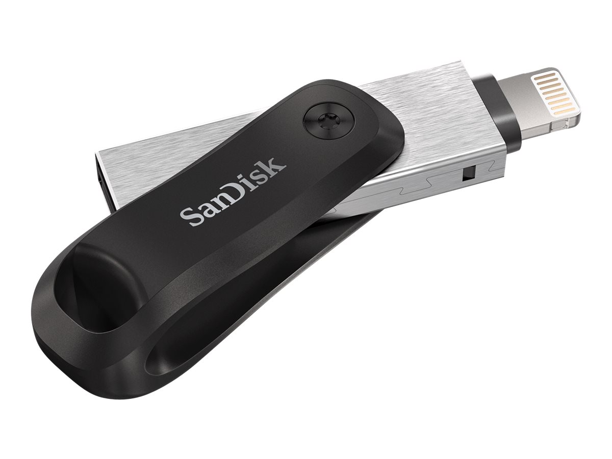 SanDisk USB-Stick iXpand Go schwarz, silber 256 GB