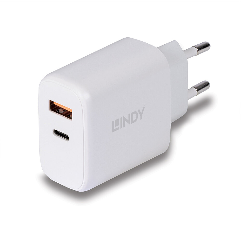 LINDY 30W USB Type A & C Charger