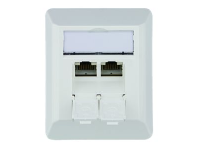 Teleg?rtner Dose AMJ45 8/8 K AP/50 Cat.6A alpinwei?