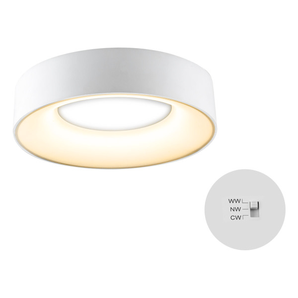 EVN R30180125 LED-Anbauleuchte rund weiß IP54